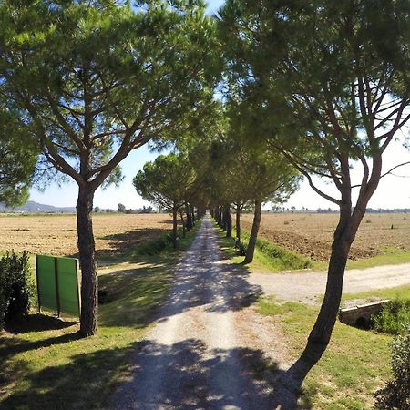 Terra Di Cortona Βίλα Εξωτερικό φωτογραφία