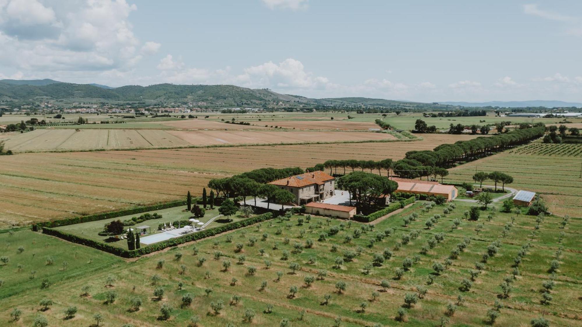 Terra Di Cortona Βίλα Εξωτερικό φωτογραφία