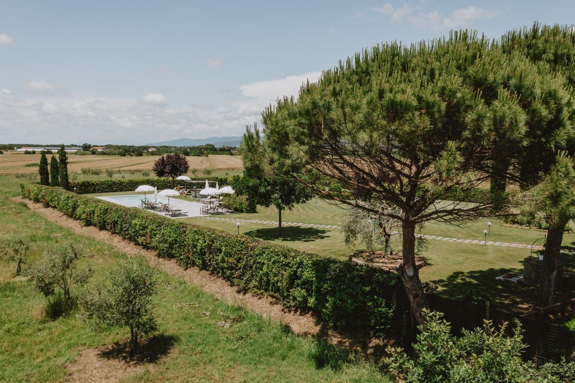 Terra Di Cortona Βίλα Εξωτερικό φωτογραφία