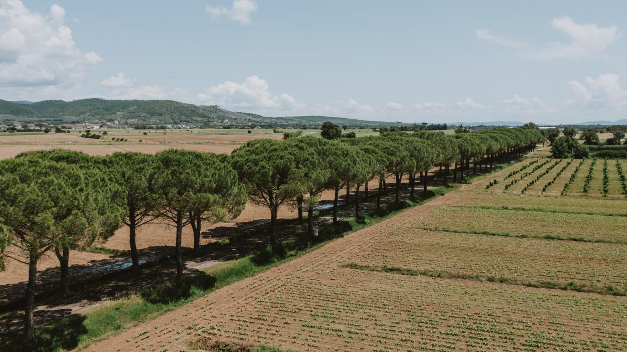 Terra Di Cortona Βίλα Εξωτερικό φωτογραφία