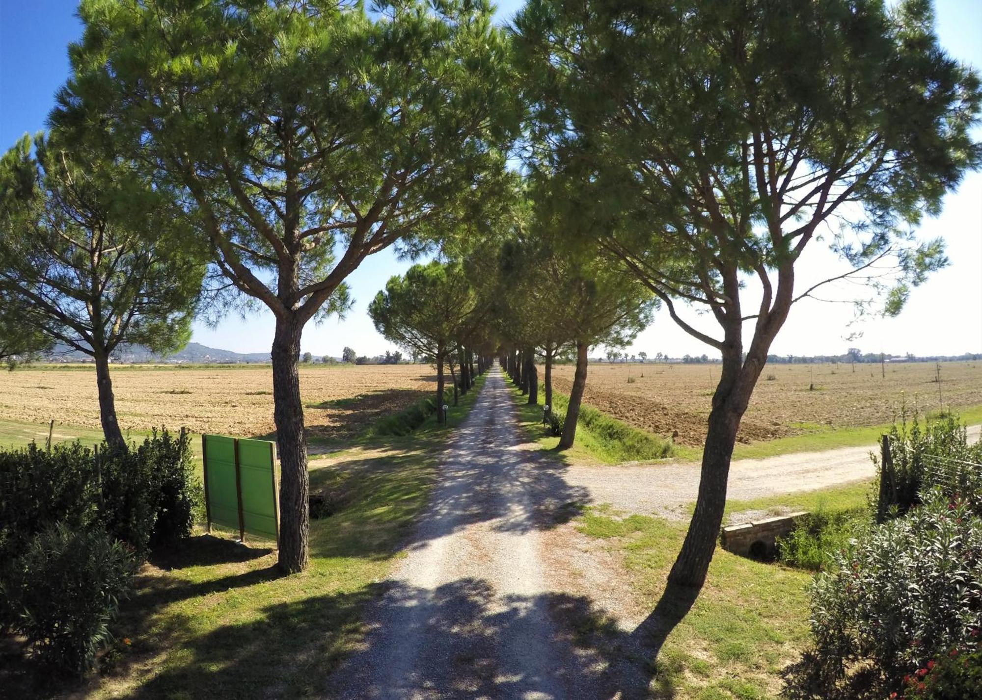 Terra Di Cortona Βίλα Εξωτερικό φωτογραφία